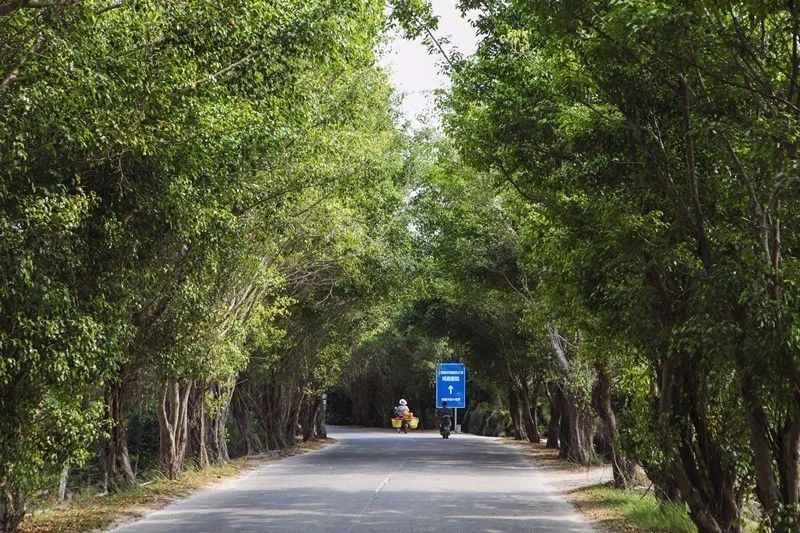 微信圖片_20190307110531 微信圖片_20190307110531