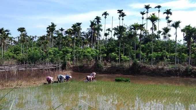 微信圖片_20190307110509 微信圖片_20190307110509