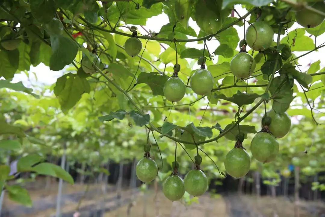 微信圖片_20190523181952 微信圖片_20190523181952