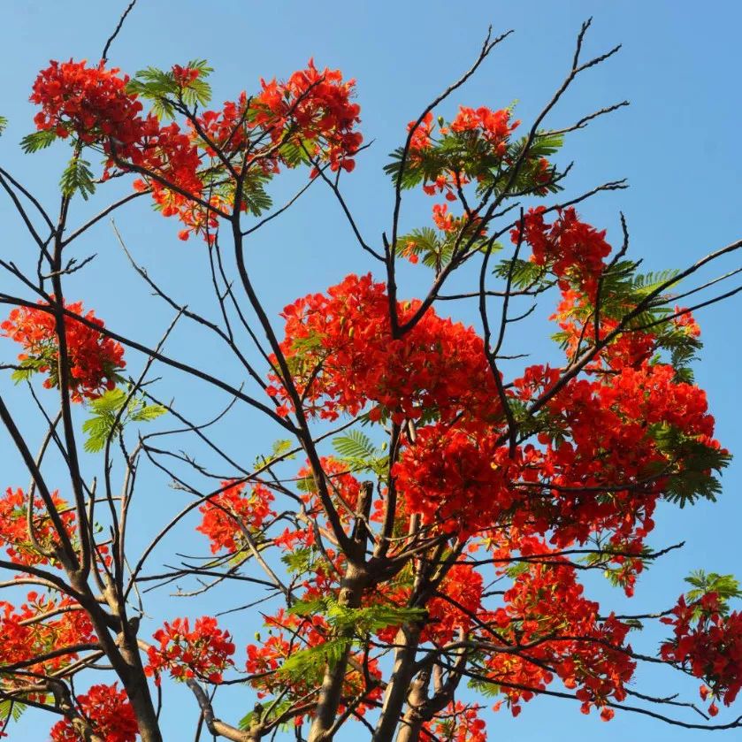 微信圖片_20190524192201 微信圖片_20190524192201