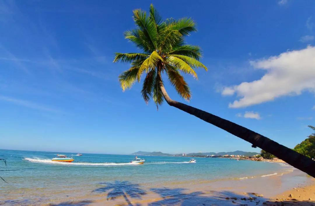 微信圖片_20190524192130 微信圖片_20190524192130