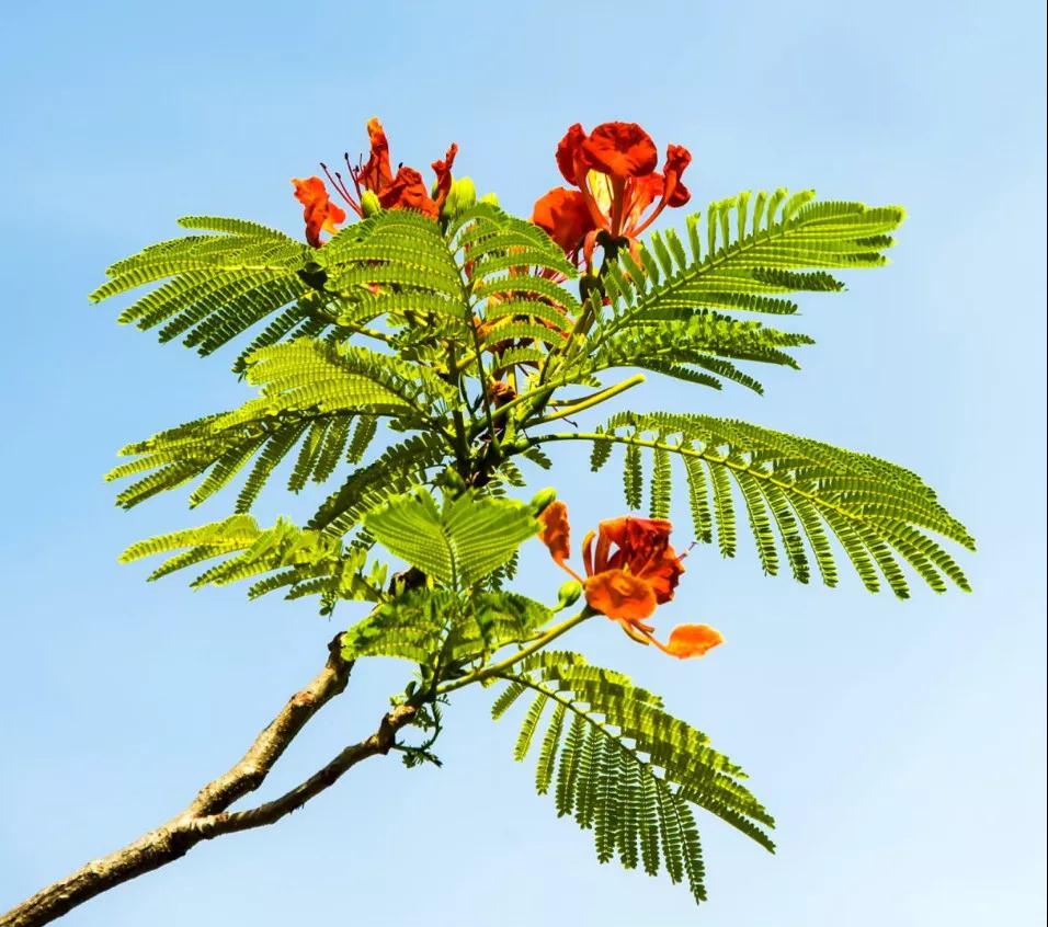 微信圖片_20190524192307 微信圖片_20190524192307