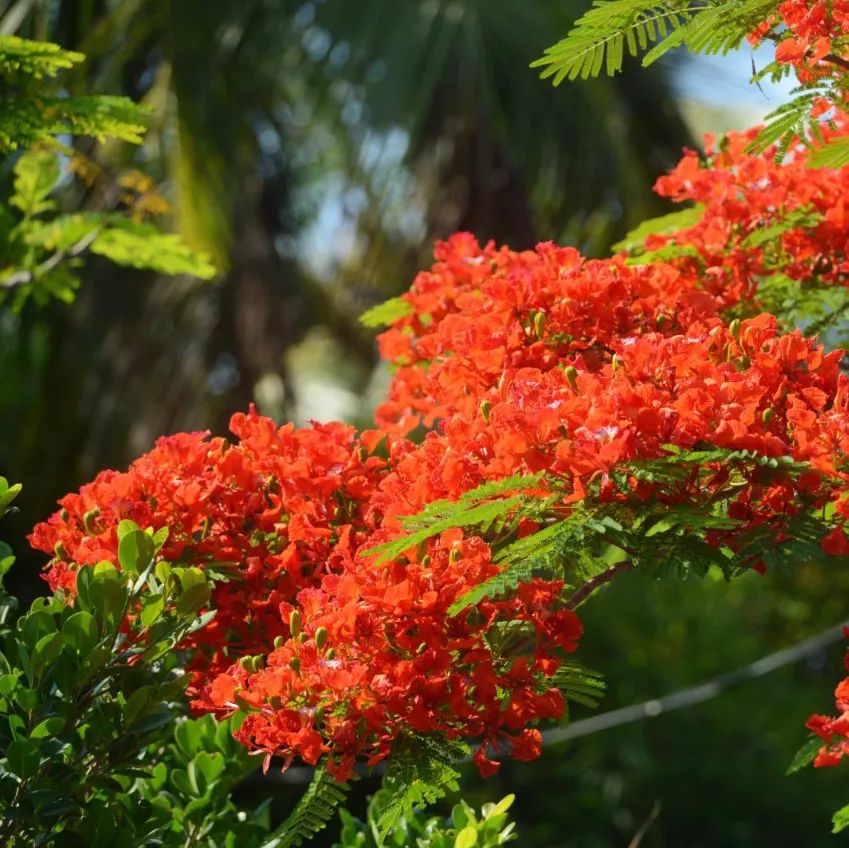 微信圖片_20190524192210 微信圖片_20190524192210