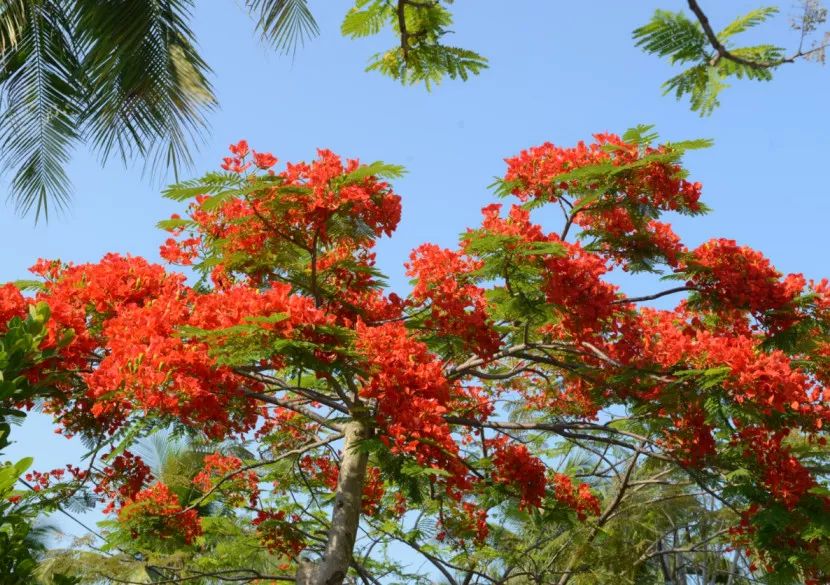 微信圖片_20190524192155 微信圖片_20190524192155