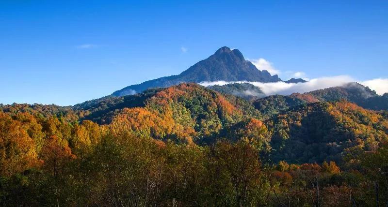 微信圖片_20190527194838