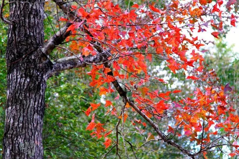 微信圖片_20190527194845