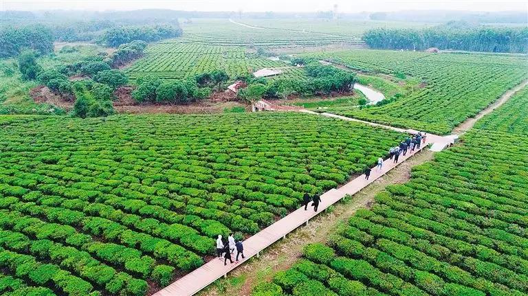 微信圖片_20190605151301 微信圖片_20190605151301