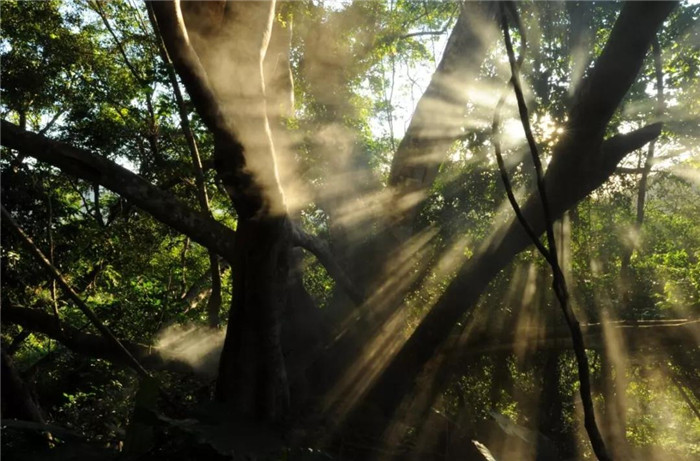 微信圖片_20190715165105 微信圖片_20190715165105