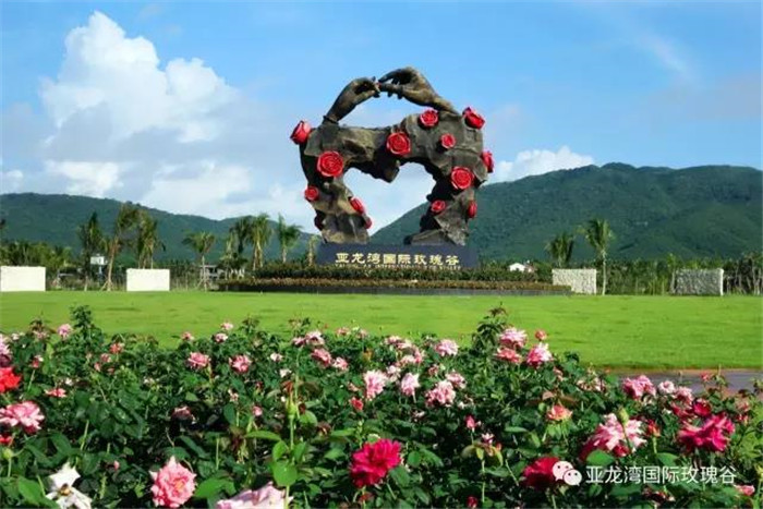 微信圖片_20190718164346 微信圖片_20190718164346