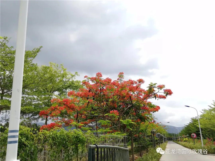 微信圖片_20190718164328 微信圖片_20190718164328