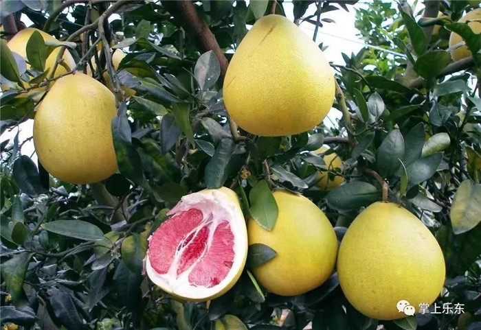 微信圖片_20190801085346 微信圖片_20190801085346