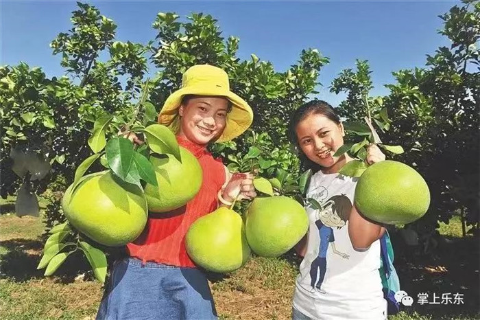 微信圖片_20190801085350 微信圖片_20190801085350