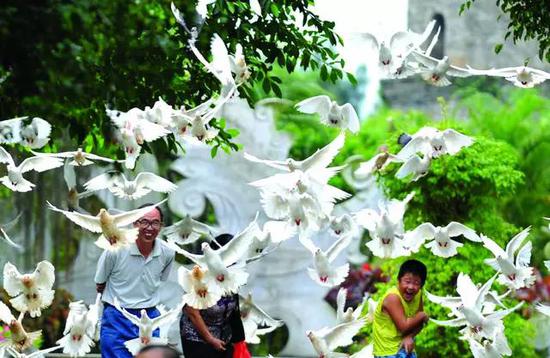 微信圖片_20191001095454 微信圖片_20191001095454