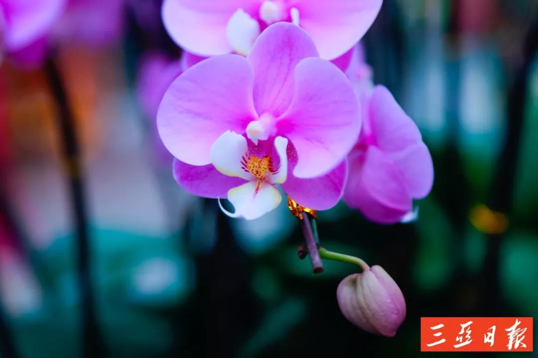 微信圖片_20191205171648 微信圖片_20191205171648