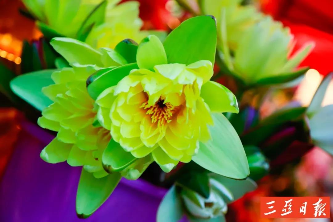 微信圖片_20191205171651 微信圖片_20191205171651