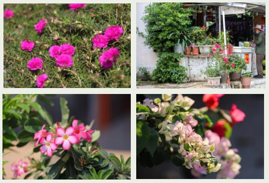 微信截圖_20200326094241 微信截圖_20200326094241