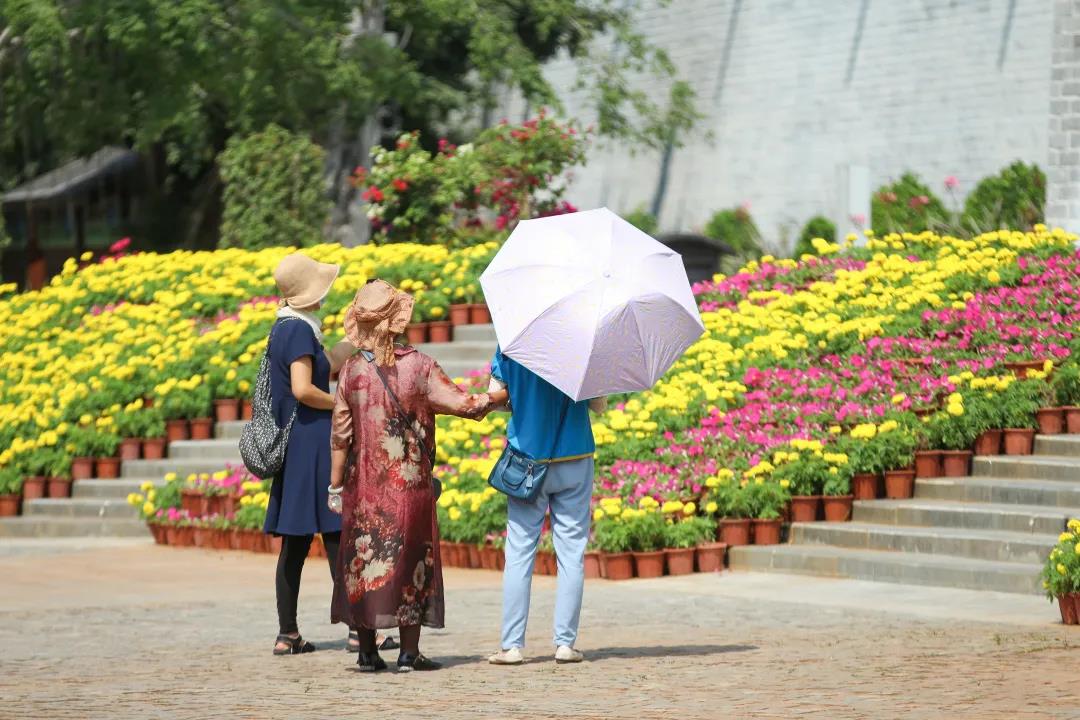 微信圖片_20200326094250 微信圖片_20200326094250