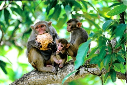 RbRE2d3J_KaGe RbRE2d3J_KaGe