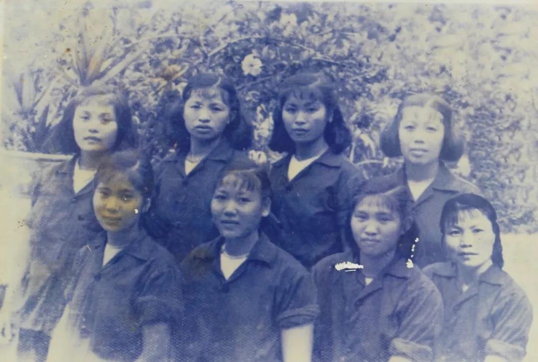 微信圖片_20200402093840 微信圖片_20200402093840