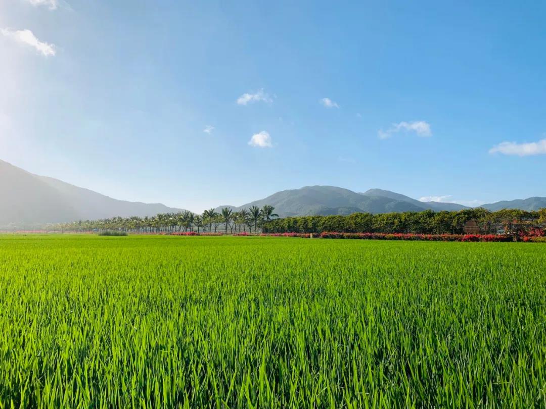 微信圖片_20200428095934 微信圖片_20200428095934