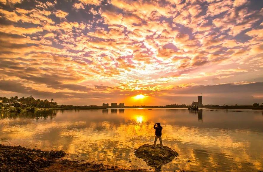 微信圖片_20200428095958 微信圖片_20200428095958