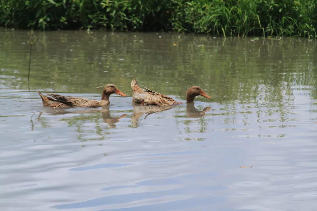 微信圖片_20200428095914 微信圖片_20200428095914