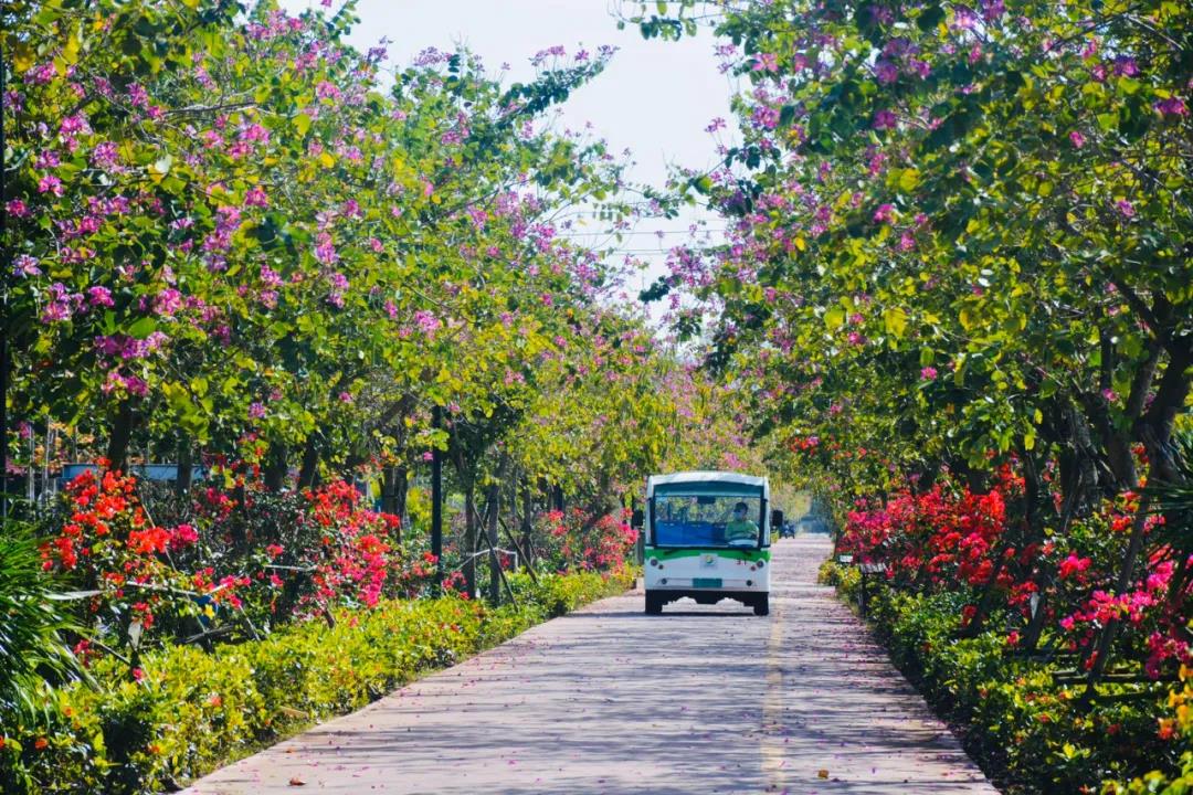 微信圖片_20200428095939 微信圖片_20200428095939