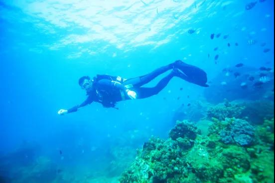 微信圖片_20200428095942 微信圖片_20200428095942