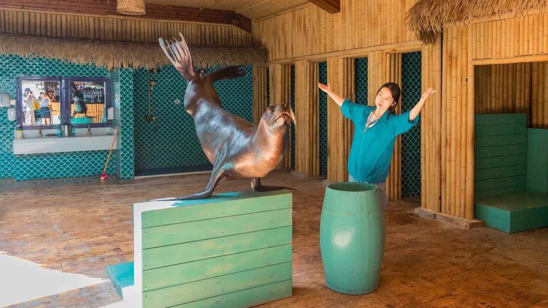 微信圖片_20200501125255 微信圖片_20200501125255