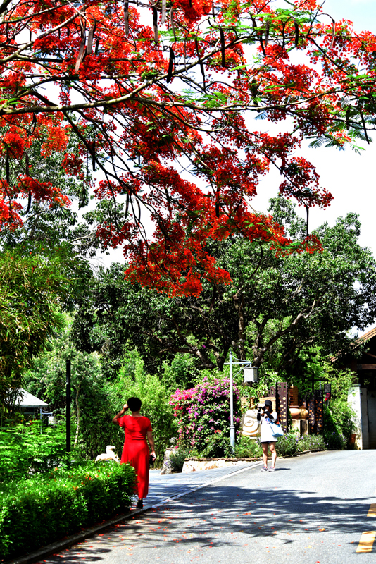 微信圖片_20200609182125 微信圖片_20200609182125