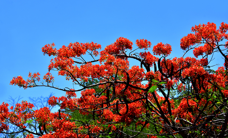 微信圖片_20200609181848 微信圖片_20200609181848