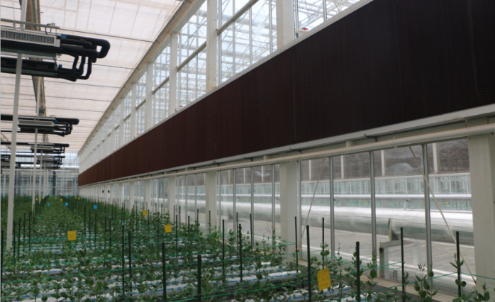 微信圖片_20200922182049 微信圖片_20200922182049