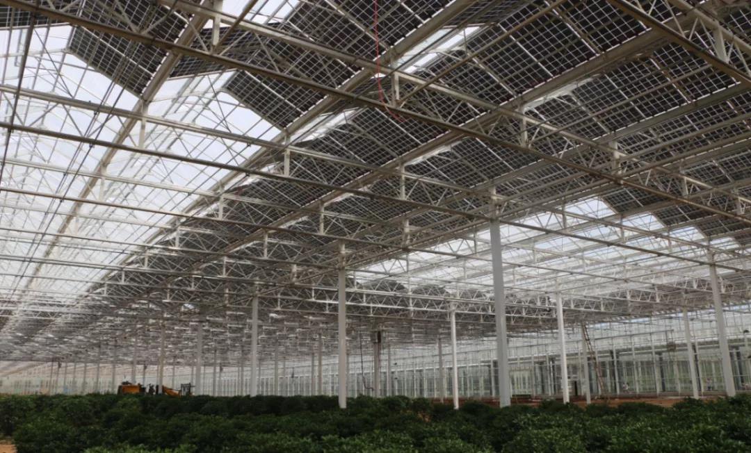 微信圖片_20200922182053 微信圖片_20200922182053