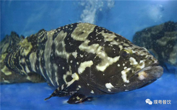 微信圖片_20200923170424 微信圖片_20200923170424