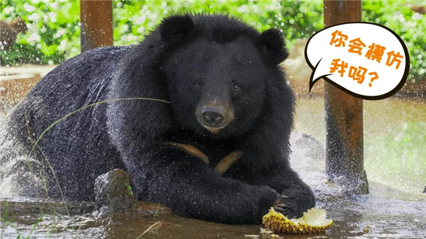 微信圖片_20200930093226 微信圖片_20200930093226