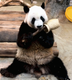 微信圖片_20200930093154 微信圖片_20200930093154