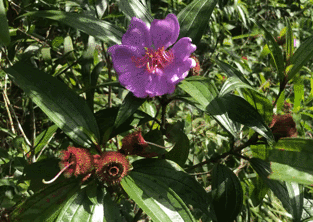 微信圖片_20201102222425 微信圖片_20201102222425