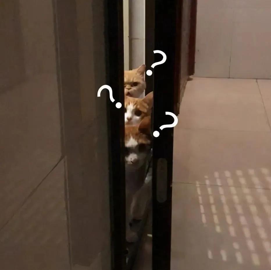 微信圖片_20201211152530 微信圖片_20201211152530