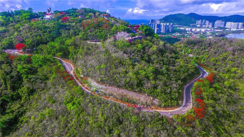 微信圖片_20210120155115 微信圖片_20210120155115