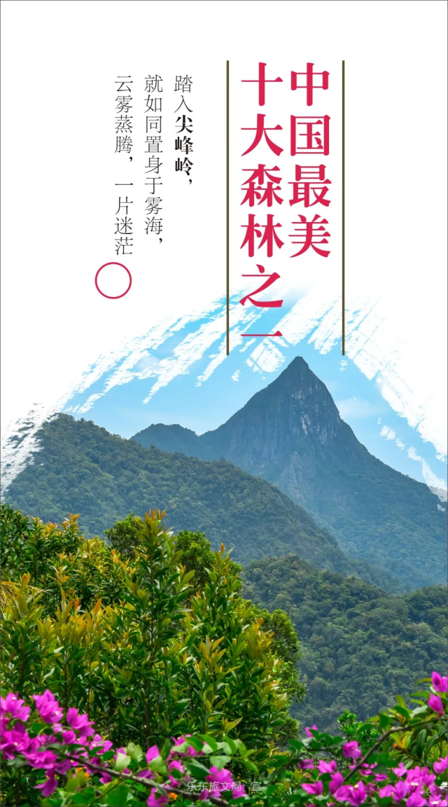 0CC2E2827373975F41319784B5BF77C7 0CC2E2827373975F41319784B5BF77C7