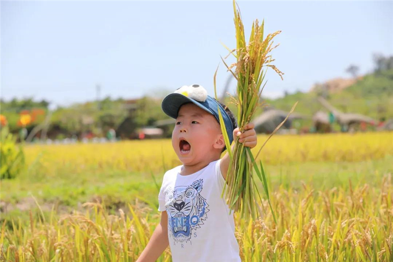 微信圖片_20210430184316 微信圖片_20210430184316