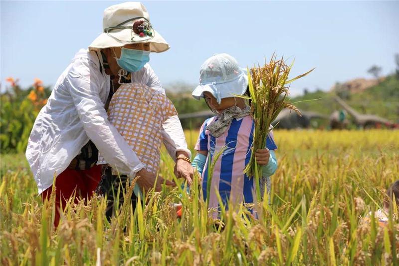 微信圖片_20210430184325 微信圖片_20210430184325