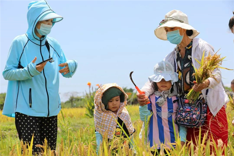 微信圖片_20210430184258 微信圖片_20210430184258