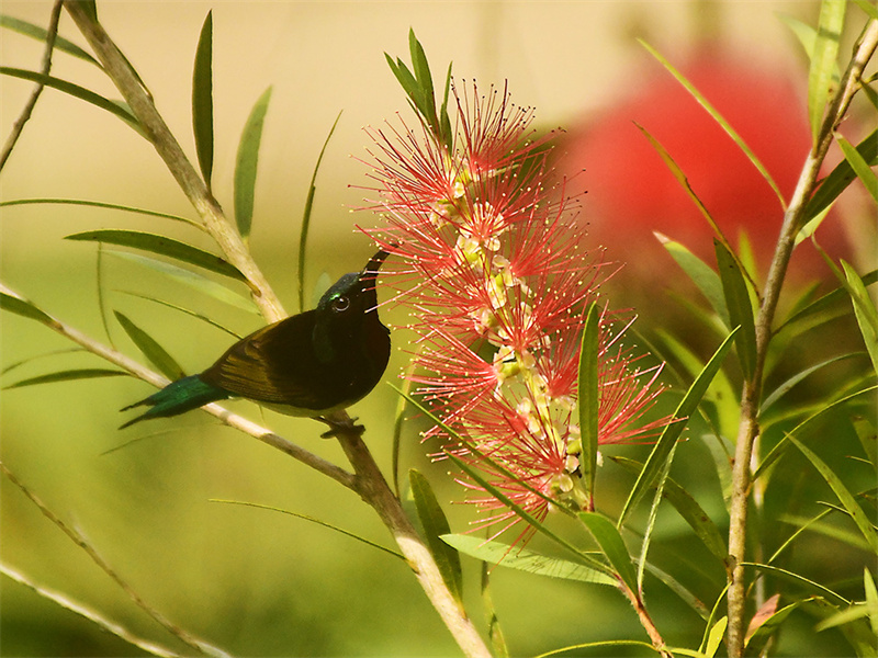 20240313222040_18573