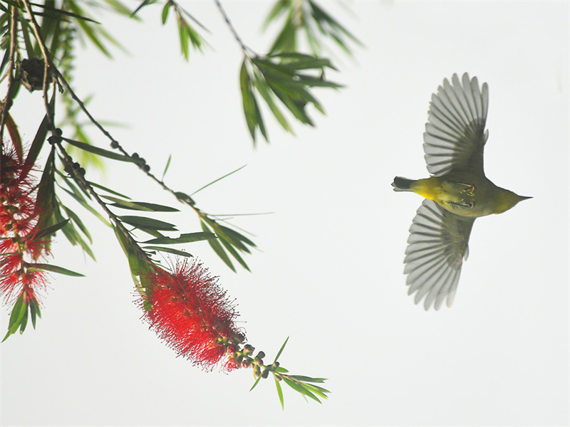 20240313220342_10636